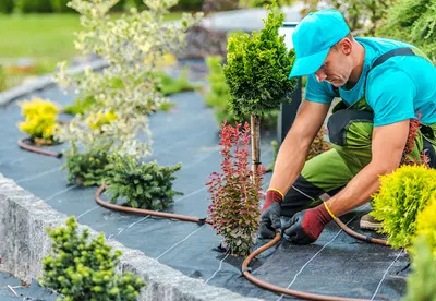 Best Garden - Usługi ogrodnicze
